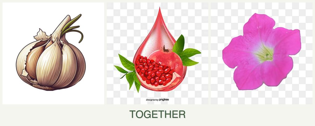 Can you plant garlic, pomegranates and petunias together?