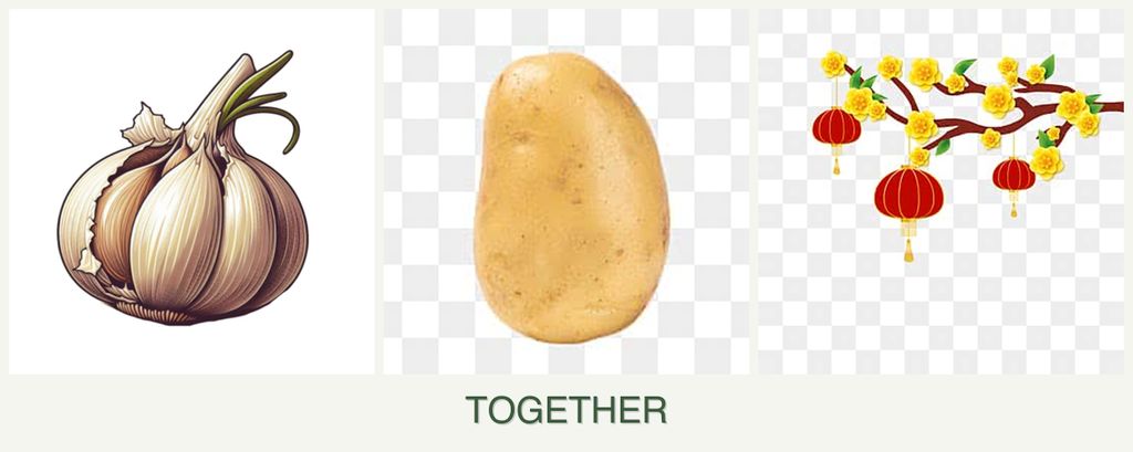Can you plant garlic, potatoes and apricots together?