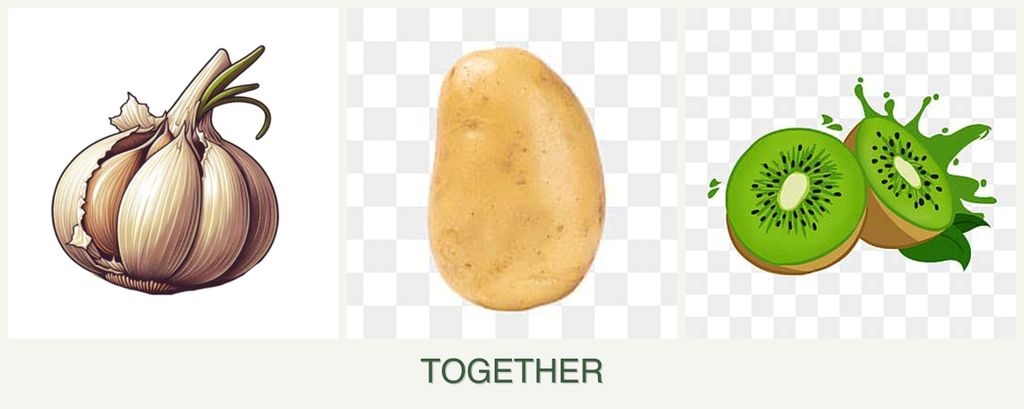 Can you plant garlic, potatoes and kiwi together?