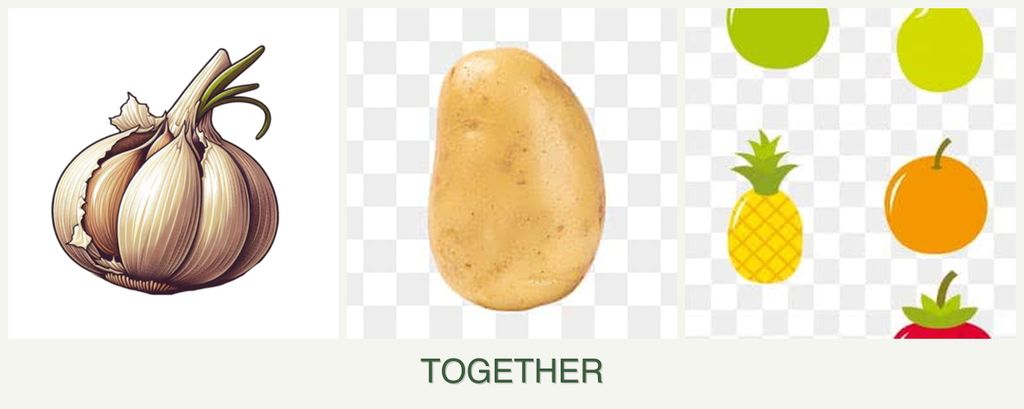 Can you plant garlic, potatoes and pears together?