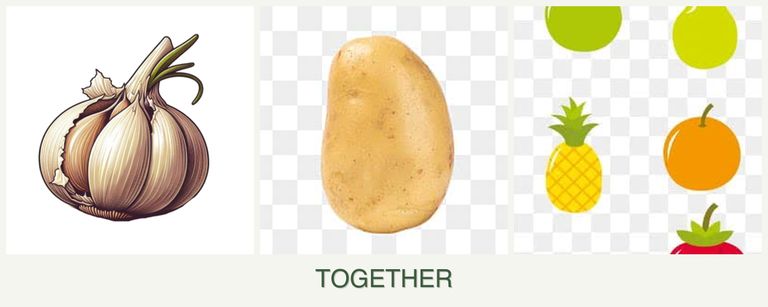 Can you plant garlic, potatoes and pears together?