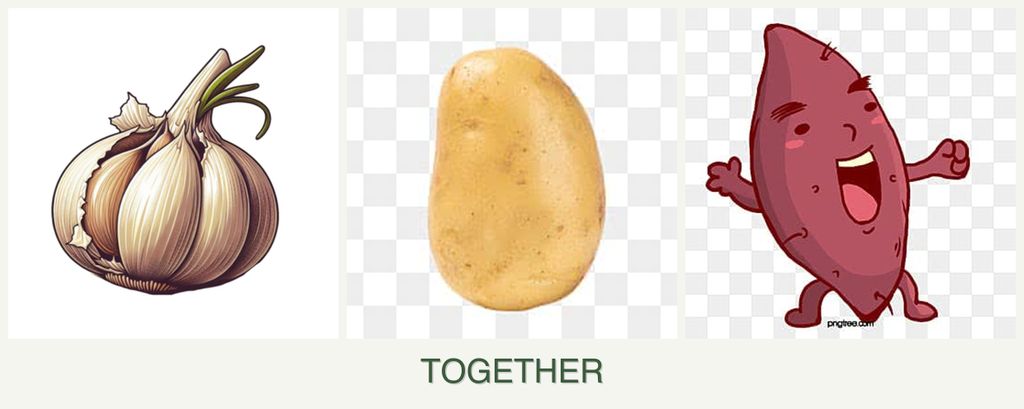 Can you plant garlic, potatoes and sweet potatoes together?