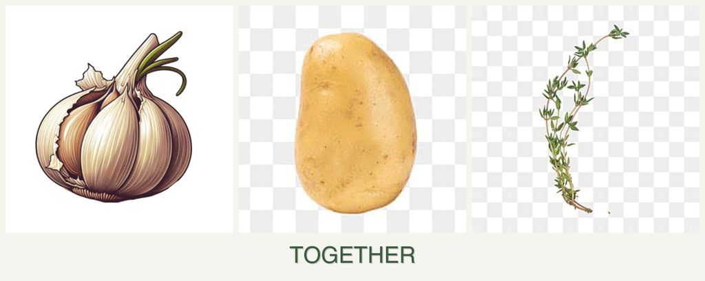 Can you plant garlic, potatoes and thyme together?