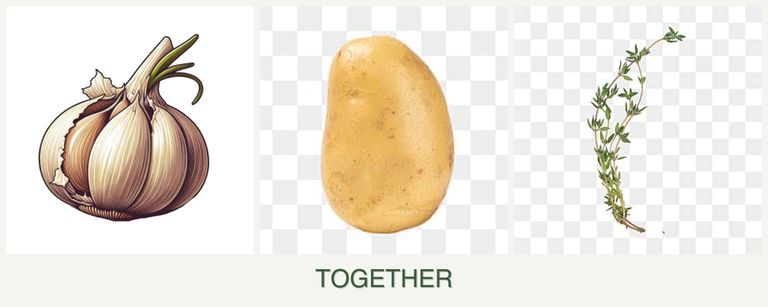 Can you plant garlic, potatoes and thyme together?