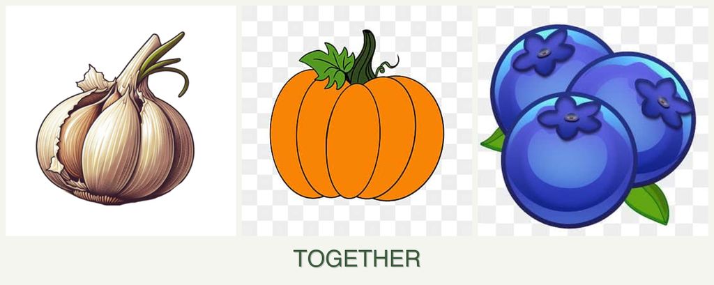 Can you plant garlic, pumpkin and blueberries together?