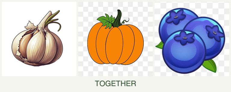 Can you plant garlic, pumpkin and blueberries together?