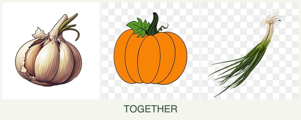 Can you plant garlic, pumpkin and chives together?