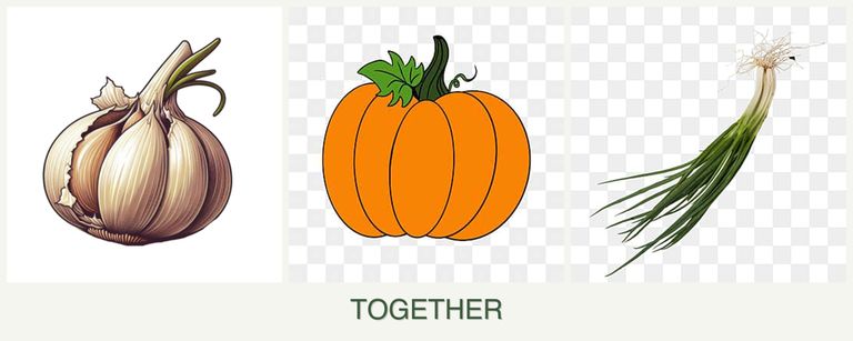 Can you plant garlic, pumpkin and chives together?