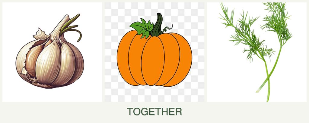 Can you plant garlic, pumpkin and dill together?