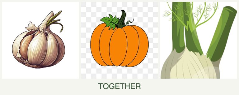 Can you plant garlic, pumpkin and fennel together?