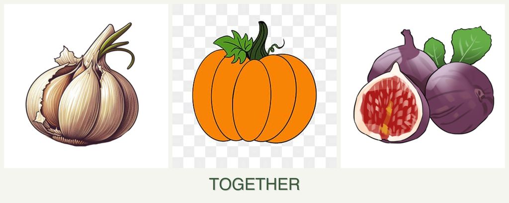 Can you plant garlic, pumpkin and figs together?
