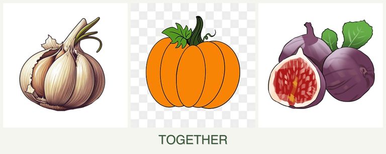 Can you plant garlic, pumpkin and figs together?