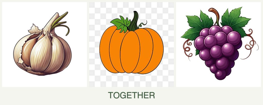 Can you plant garlic, pumpkin and grapes together?
