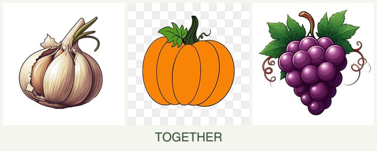 Can you plant garlic, pumpkin and grapes together?