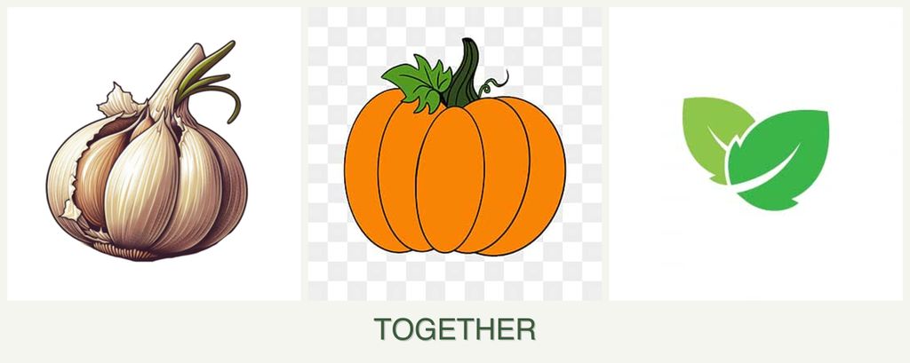 Can you plant garlic, pumpkin and mint together?
