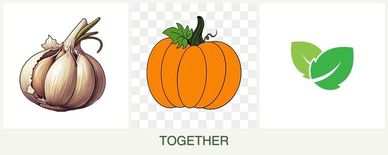 Can you plant garlic, pumpkin and mint together?