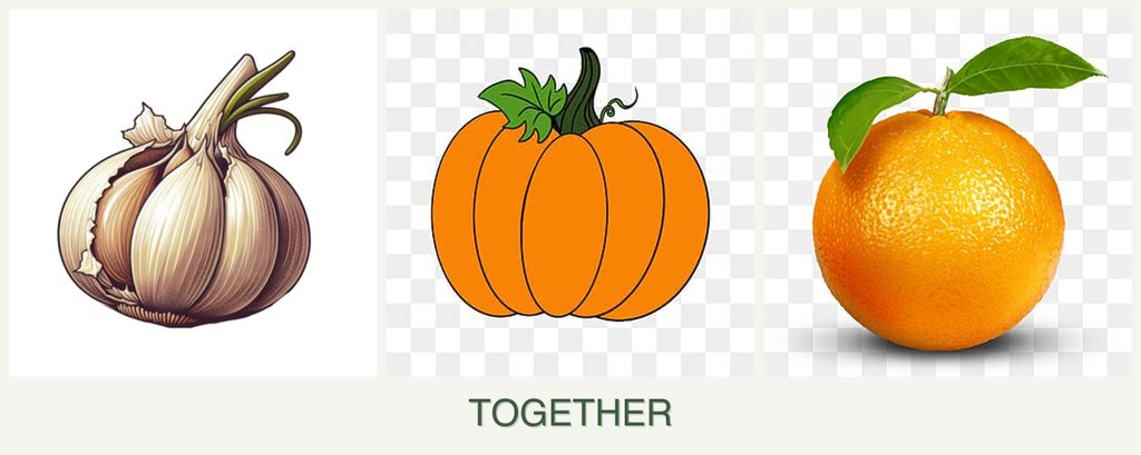 Can you plant garlic, pumpkin and oranges together?