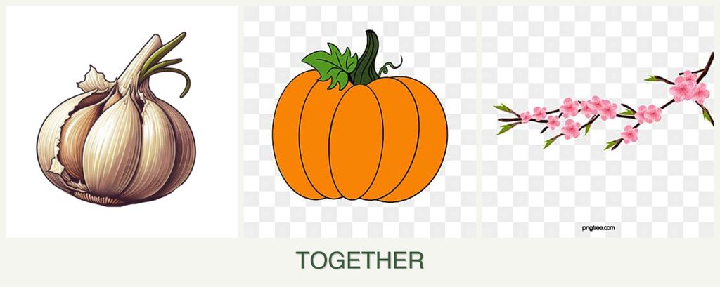 Can you plant garlic, pumpkin and peaches together?