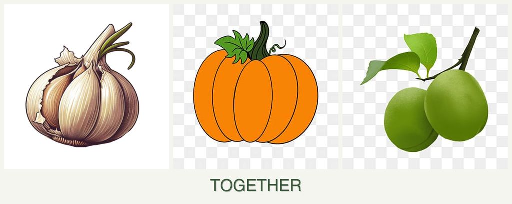 Can you plant garlic, pumpkin and plums together?