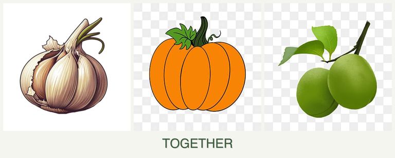 Can you plant garlic, pumpkin and plums together?