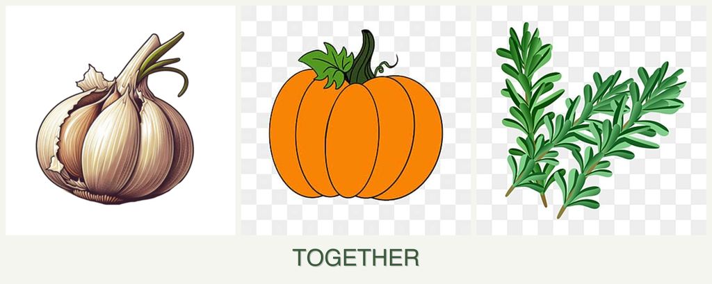 Can you plant garlic, pumpkin and rosemary together?