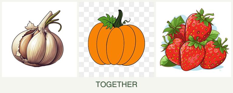 Can you plant garlic, pumpkin and strawberries together?