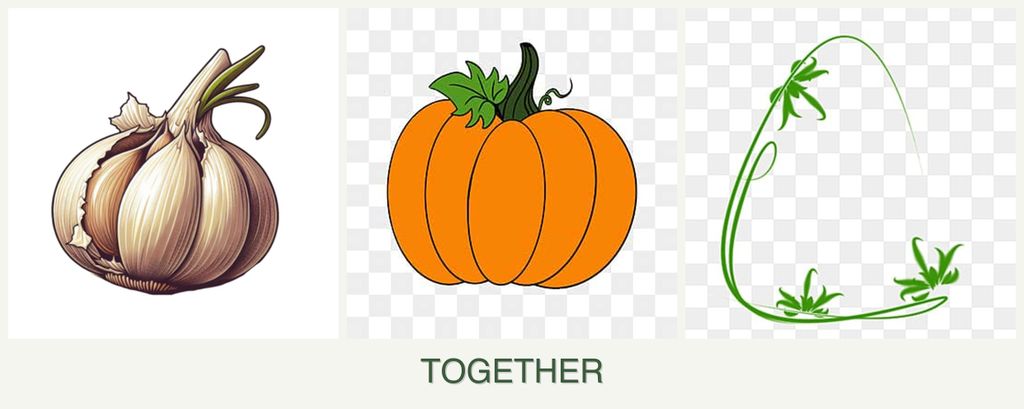 Can you plant garlic, pumpkin and tarragon together?