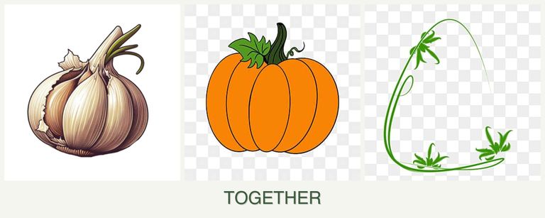 Can you plant garlic, pumpkin and tarragon together?