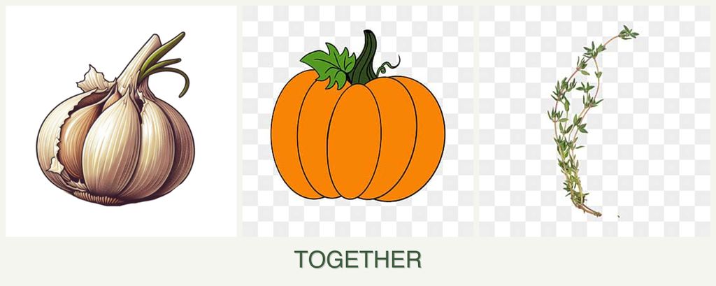 Can you plant garlic, pumpkin and thyme together?