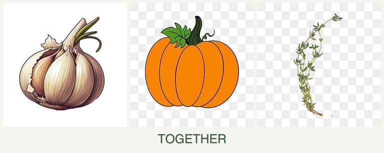 Can you plant garlic, pumpkin and thyme together?