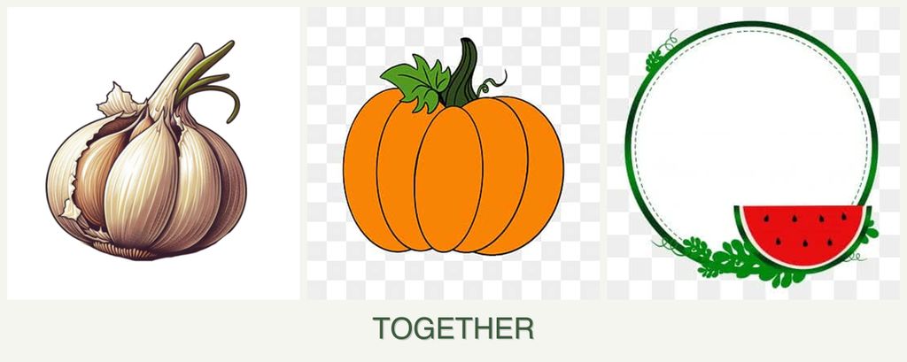 Can you plant garlic, pumpkin and watermelons together?