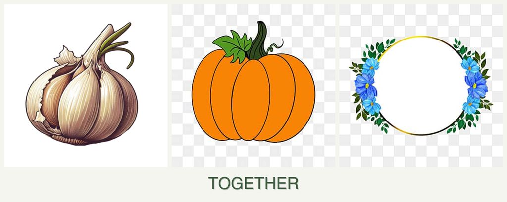 Can you plant garlic, pumpkin and zinnias together?