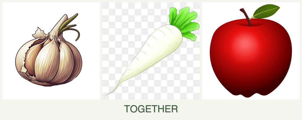 Can you plant garlic, radishes and apples together?