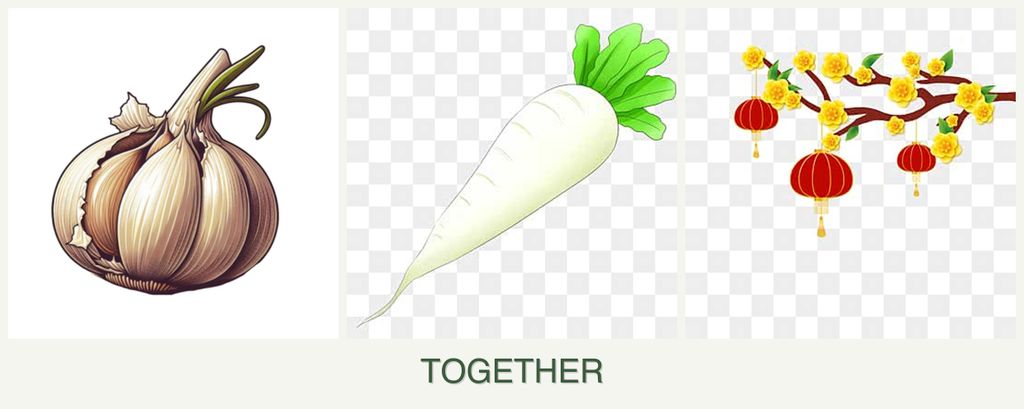 Can you plant garlic, radishes and apricots together?