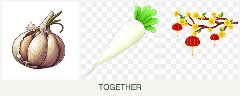 Can you plant garlic, radishes and apricots together?