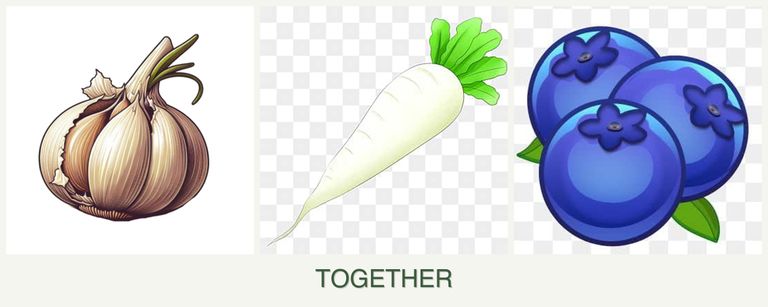 Can you plant garlic, radishes and blueberries together?