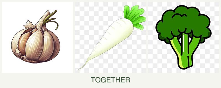 Can you plant garlic, radishes and broccoli together?