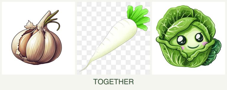 Can you plant garlic, radishes and cabbage together?