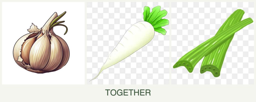 Can you plant garlic, radishes and celery together?