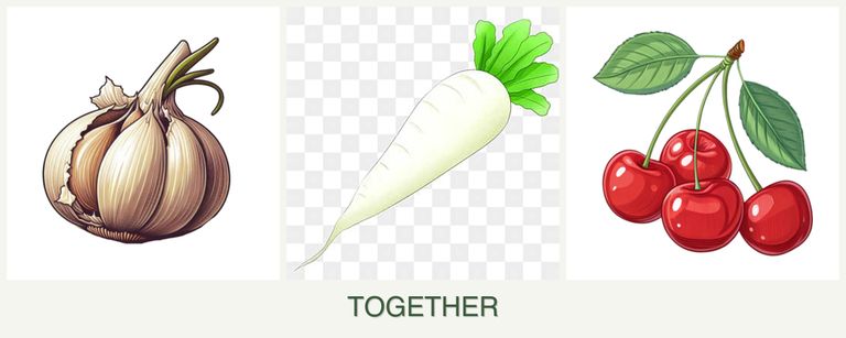 Can you plant garlic, radishes and cherries together?