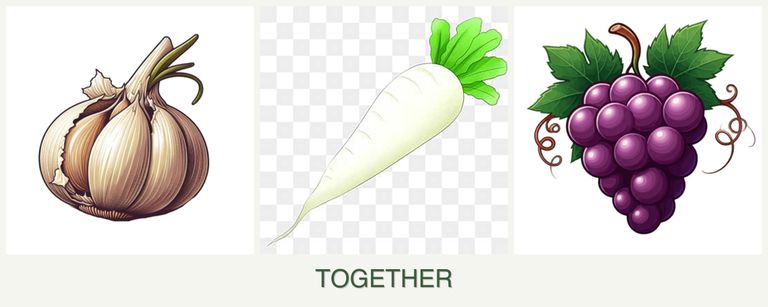 Can you plant garlic, radishes and grapes together?