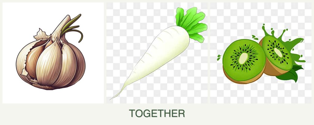 Can you plant garlic, radishes and kiwi together?