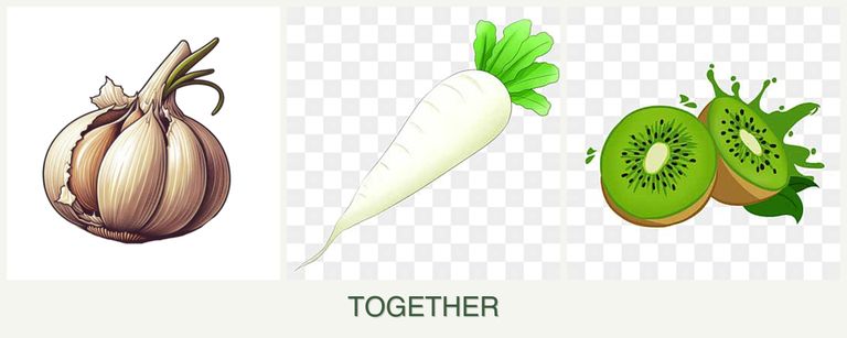 Can you plant garlic, radishes and kiwi together?