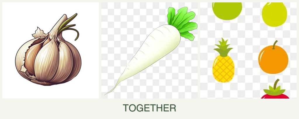 Can you plant garlic, radishes and pears together?