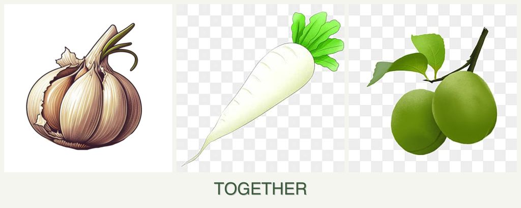 Can you plant garlic, radishes and plums together?