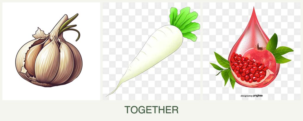 Can you plant garlic, radishes and pomegranates together?