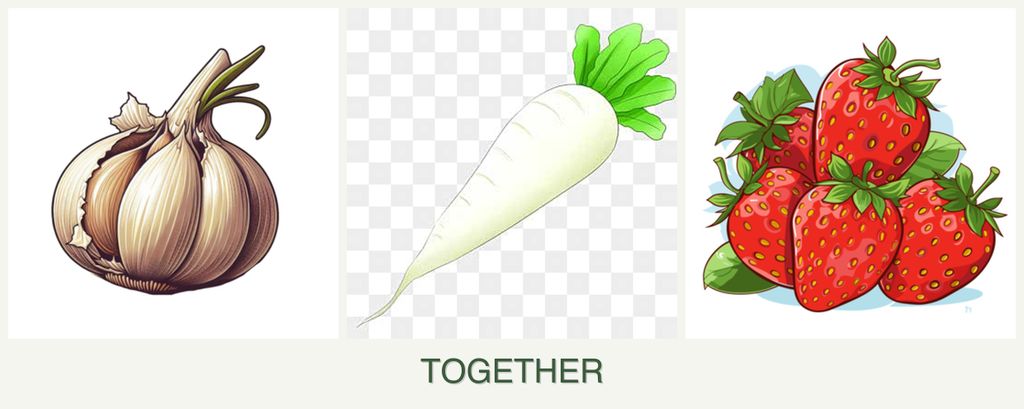 Can you plant garlic, radishes and strawberries together?