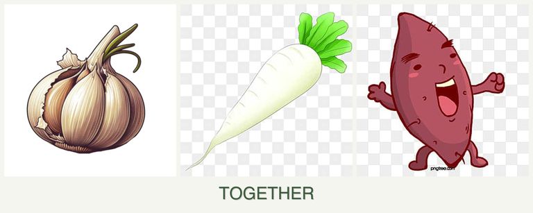 Can you plant garlic, radishes and sweet potatoes together?
