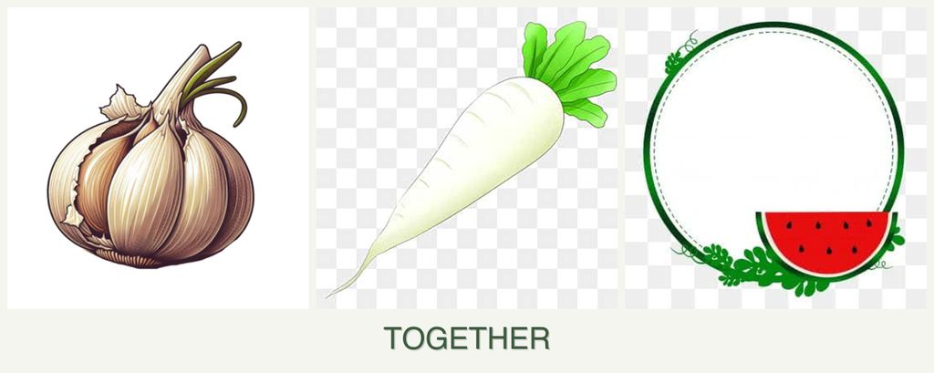Can you plant garlic, radishes and watermelons together?