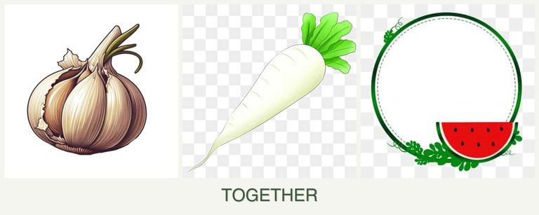 Can you plant garlic, radishes and watermelons together?